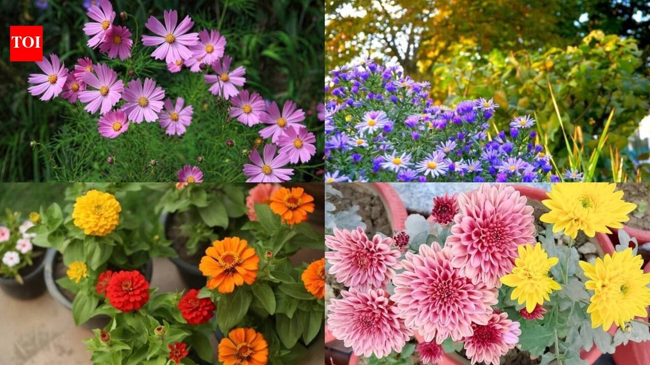 5 Plants to grow now for beautiful blooms through fall