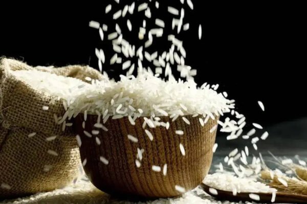 India Rice Exports: Why India’s rice exports to Iran may survive Donald Trump's sanctions threat