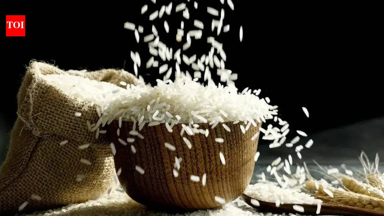 India Rice Exports: Why India’s rice exports to Iran may survive Donald Trump's sanctions threat