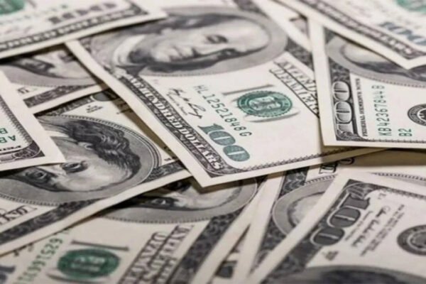 India Foreign Exchange Reserves: India's forex reserves hit all-time high of $729.33 billion after $12.42 billion jump