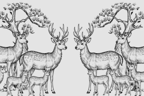 Only sharp-eyed people can find all the hidden deer in this image within 11 seconds