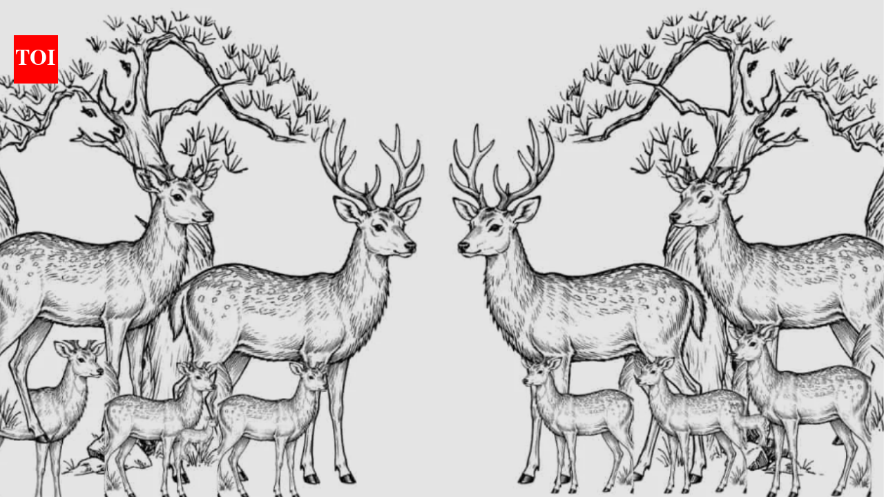 Only sharp-eyed people can find all the hidden deer in this image within 11 seconds