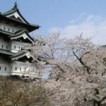 After a decade-long restoration, 1,800 volunteers took turns pulling a 400-ton Japanese castle with ropes; 8,000 people had applied for the chance to help move it