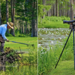 A Florida couple bought a 45-acre swamp to protect it from development; 15 years later, 275 wood storks were nesting there in a thriving ecosystem filled with wildlife