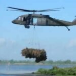 New Orleans: New Orleans collected 9,000 discarded Christmas trees and airlifted them into coastal wetlands; the programme has restored marsh equal to nearly 200 football fields