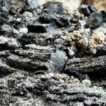A wooden relic that survived the sack of Jerusalem's First Temple was unearthed by archaeologists, now they are finding shocking answers