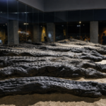 Ancient Egyptians mummified thousands of crocodiles at Kom Ombo. Modern DNA has finally revealed where the sacred reptiles came from | World News