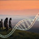 Scientists found traces of two unknown ancient human lineages hiding in modern DNA; one split from our ancestors about 800,000 years ago, another around 1.8 million years ago