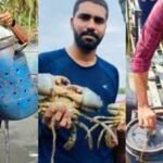 Two Kochi postgraduates turned a mud-crab farming problem into a national-winning startup, earning a Rs 10 lakh grant for a bucket system that can help farmers raise premium crabs inland