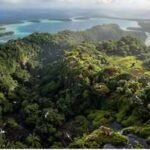 Atolls can take up to 30 million years to form, but these tiny coral islands now support 31 million seabirds across the Indo-Pacific |