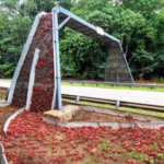 Australia has built bridges just for crabs so millions of red crabs can safely migrate across Christmas Island every year |