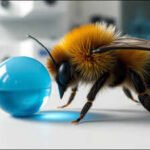 In 2026, scientists gave bumblebees a puzzle they had never seen before; some invented their own way to reach a hidden reward |