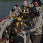 Brazil’s polluted Rio mangroves were disappearing under waste; then local fishers restored 18.2 hectares and more than 60 animal species returned | World News