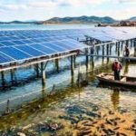 China covered 40% of sea cucumber ponds with solar panels; younger animals spent 12 fewer days in summer inactivity |
