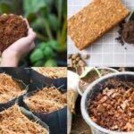 Cocopeat Uses: 5 practical uses of cocopeat every gardener should know