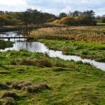 In 2001, Denmark began turning 19 km of straightened River Skjern into 26 km of bends; researchers later found some lost habitats may take centuries to return