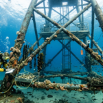 Divers turned a floating wind turbine off Spain into an underwater farm; oysters, clams, mussels and green algae now grow beneath it |