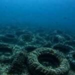 Florida dumped millions of tyres into the ocean to build a reef. More than 50 years later, it is still cleaning them up | World News