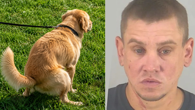 Florida man arrested after throwing dog poop at neighbour over uncleared mess and threatening him with a child’s scooter