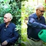 This Delhi man turned his home into a mini orchard with 1,000+ plants, grows 40 varieties of fruit and says he hasn’t bought lemons in years