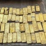 Belgian student Kobe thought he had found €1 coins while digging a sewer; the hidden stash turned out to be gold worth about €9 million