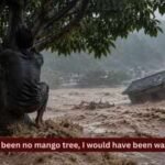 “Had there been no mango tree, I would have been dead”: 24-year-old Nepali man watched houses disappear and people being washed away
