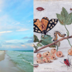In 1966, scientists wiped out nearly every insect on tiny Florida islands to see how nature would rebuild itself |