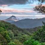 In 1972, Costa Rica began protecting a misty mountain forest: Decades later, Monteverde’s 10,500 hectares have become a remarkable conservation story |