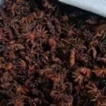 In Indian Himalayas, a wild spice is helping 200 families protect 100 sq km of forest while generating an income of Rs 39 lakh