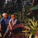 In the 1970s, Pulitzer Prize-winning poet W.S. Merwin and his wife Paula bought a barren piece of land in Hawaii; planting one sapling at a time, they transformed the wasteland into a 19-acre forest with more than 3,000 palms