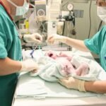 His heart was too underdeveloped to support his body: How doctors saved a critically ill 10-day-old baby |