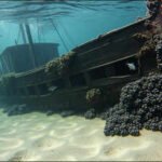 In 1872, the Lac La Belle sank in a Lake Michigan storm, but its wreck stayed hidden until a 60-year search finally paid off