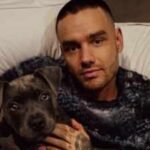 Liam Payne’s final hours revealed in new police documents and photos as fresh details from investigation into singer’s death at at Buenos Aires hotel continues |