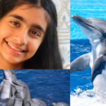 Meet Ishanvi Sakharpe, the Virginia student who built Dolphin Guard to help protect dolphins from dangerous human activity﻿ |