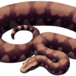 The largest snake to roam the Earth, earlier mistaken for a massive crocodile; IIT Roorkee researchers name it after the 'Vasuki Naag'