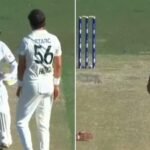 'You’re not in Bangladesh now': Mitchell Starc, Mehidy Hasan clash as visitors dominate Darwin Test