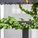Not just a balcony, 5 spaces that you can easily use for gardening your green friends