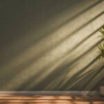 7 plants that can survive without sunlight