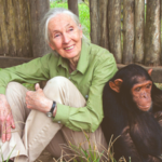 Quote of the day by Jane Goodall: "Every individual matters. Every individual has a role to play. Every individual..." |