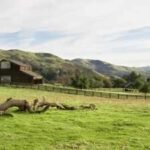 In 1974, the National Park Service bought the Stewart family's 890-acre California ranch; they negotiated the right to remain and continued ranching there until 2021