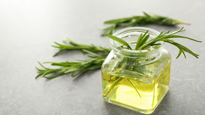 Rosemary Aroma Jar: Rosemary aroma jar: Easy DIY home freshener to freshen up your room on a budget and add a festive touch
