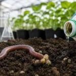 Scientists in Austria found that a glyphosate-based herbicide reduced earthworm reproduction by 56% in a greenhouse study