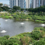 Singapore rebuilt a vanished 1920s lake inside a new housing estate; engineers turned it into a flood-control system and wildlife habitat | World News