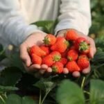 In 2024, a 192,560 sq ft industrial project won approval on 22 acres beside New Jersey’s Monmouth battlefield; two years later the state paid $15 million to preserve the former strawberry farm as part of the park