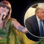Taylor Swift's song 'August' removed from Donald Trump's TikTok fireworks clip |