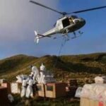 In 2016, New Zealand targeted an estimated 200,000 mice on Antipodes Island; two years later they were declared gone, and subsequent surveys found two native bird populations had more than doubled