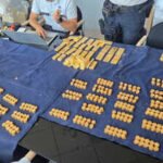 Belgium Gold Discovery: Construction workers in Belgium dig up mysterious gold worth $10 million while building sewer under former brewery: 'Our first reaction was actually disbelief and surprise'
