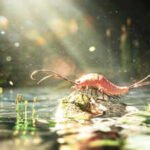 Insect Fossil Texas 324 Million Year: A 324-million-year-old fossil from Texas preserves an early insect with 24 legs and paddle-like limbs on its abdomen, suggesting insects did not leave water for land in one sudden evolutionary jump
