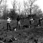 In 1943, Franklin Roosevelt gave his family home and 33 acres to the US government while retaining family rights to live there; he had expanded the estate to nearly 1,500 acres and planted over 500,000 trees