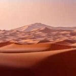 UAE is turning desert sand into eco-friendly bricks, and the method cuts  cement needed for construction to nearly half